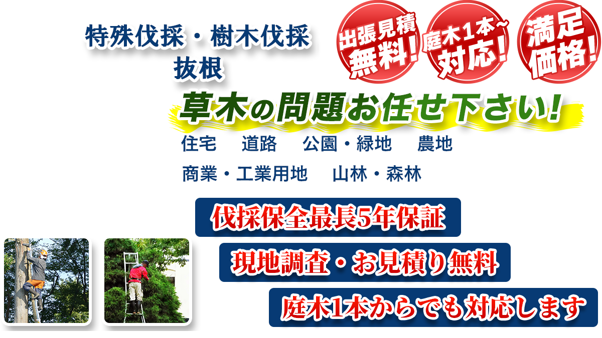 北茨城市エリア即対応!! 出張無料! 庭木1本~対応! 満足価格! 植木剪定・生垣刈込 樹木伐採・伐根 草木の問題お任せ下さい! 住宅 道路 公園・緑地 農地 商業・工業用他 山林・森林 伐採保全最長5年保証 現地調査・お見積り無料 庭木1本からでも対応します